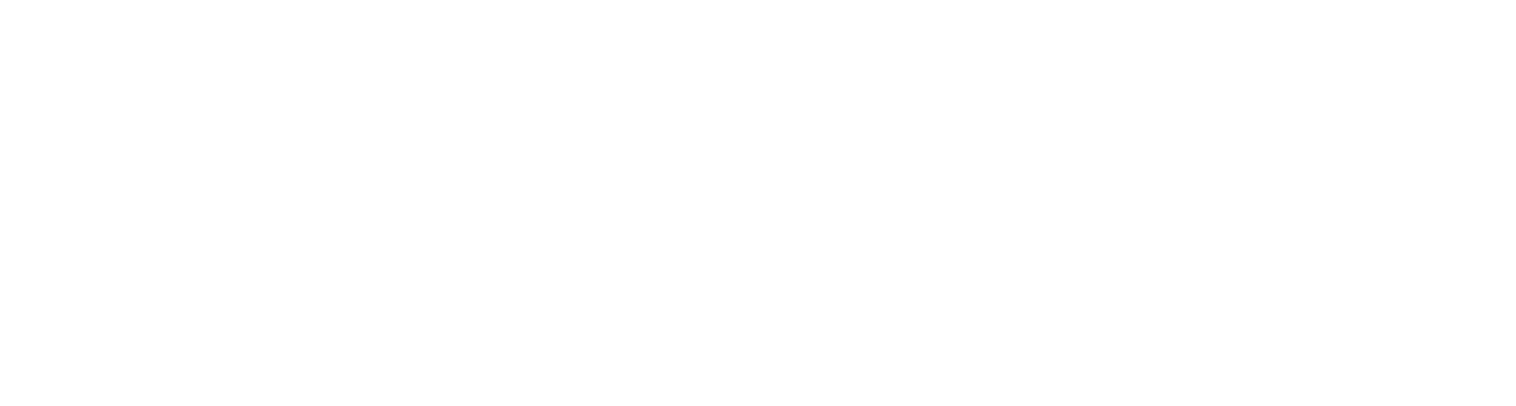 Resort Manager